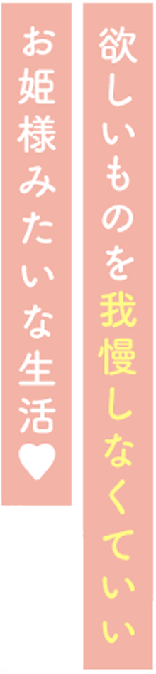 欲しいものを我慢しなくていいお姫様みたいな生活。